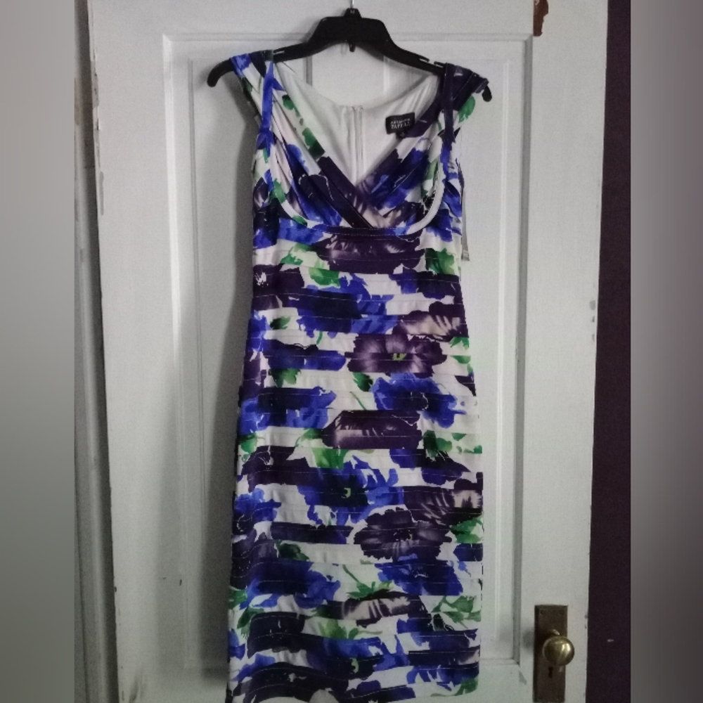 Adrianna Papell 6 Dress